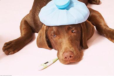 Y3编辑器北大之行-开启UGC游戏创作新赛道